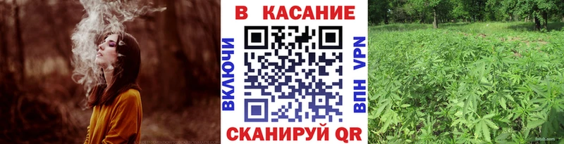 Цена Бердск Гашиш  Каннабис  КОКАИН  АМФЕТАМИН  Меф мяу мяу  А ПВП 
