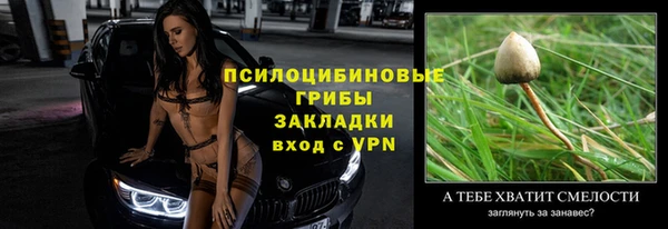 прущие крисы Алексеевка