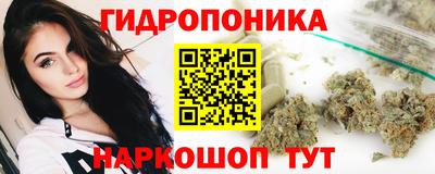твердый Сосновый Бор