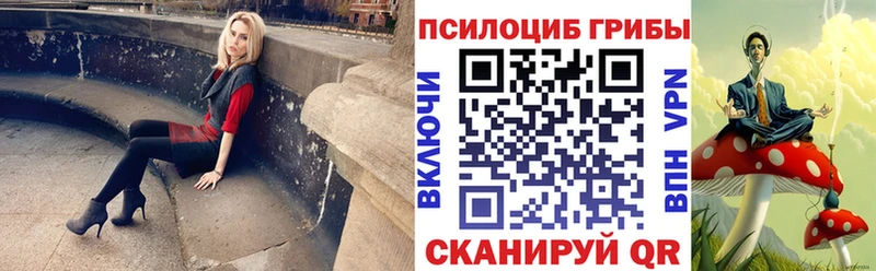 OMG ссылка  Бердск  Псилоцибиновые грибы Psilocybine cubensis 