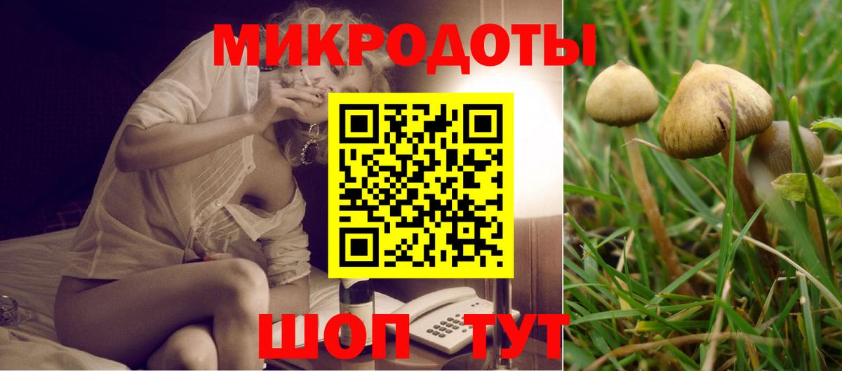 Галлюциногенные грибы Psilocybe  Вход с VPN  Бердск 
