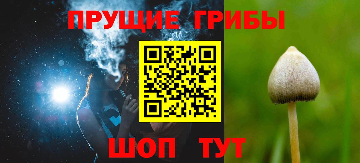 Галлюциногенные грибы Magic Shrooms Бердск